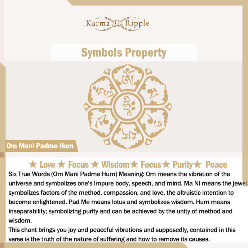 KarmaRipple's Tiger Eye Black Onyx Red Agate PiXiu Bronze Coin Om Mani Padme Hum Strength Leather Bracelet p9