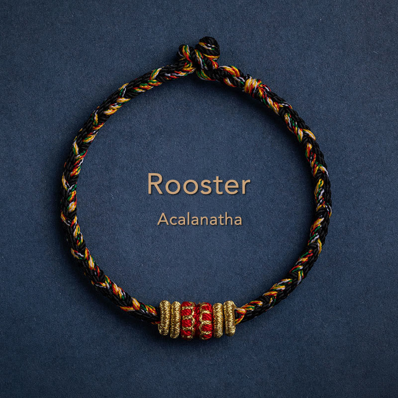 KarmaRipple's Tibet Handmade Chinese Zodiac Natal Buddha Fortune Strength Woven String Bracelet p55