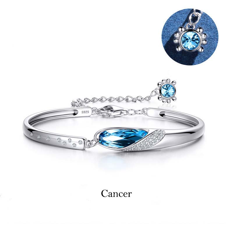 KarmaRipple's 925 Silver Plated Bronze 12 Constellations of the Zodiac Talisman Bracelet p22