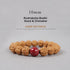 10mm / Rudraksha Bodhi Seed & Cinnabar